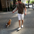 NYC Pet Nannies - Pet Sitting & Exercising Services