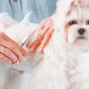 Michelle's Pampered Pets - Pet Grooming