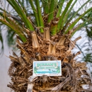 Durham's Tree Service - Tree Service