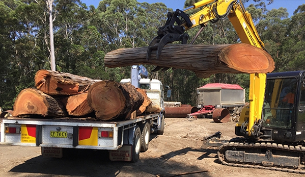 Brady Tree Service Pty Ltd. We offer residential, commercial and industrial tree & stump removal services.