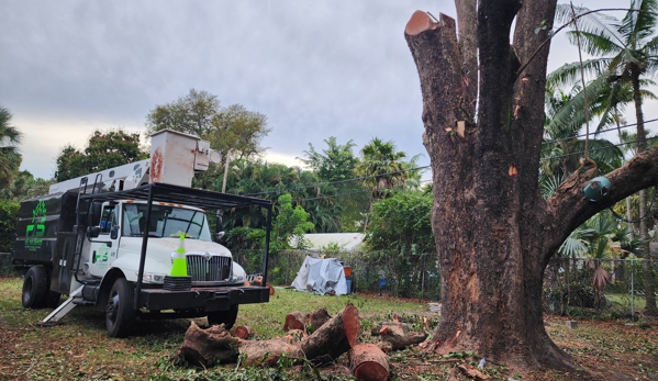 Full Tree Services - Davie, FL. Tree Removal Company Broward County and Dade County