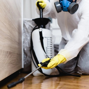 Bligh Park Pest Control - South Windsor, NSW