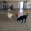 Rocky Mountain Kennels, Inc - Pet Boarding & Kennels