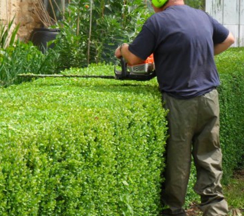 Chop Chop Tree - Andover, MA