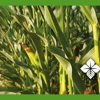 Farm Credit Mid-America gallery