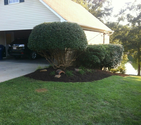 A Plus Lawn and Landscaping Service