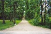 H.E.V. Asphalt Paving Co LLC - Building Contractors