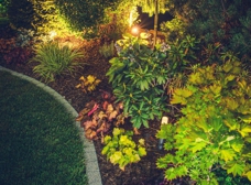 Gallery Image Number 4