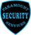 Paramount Security Services - Security Systems