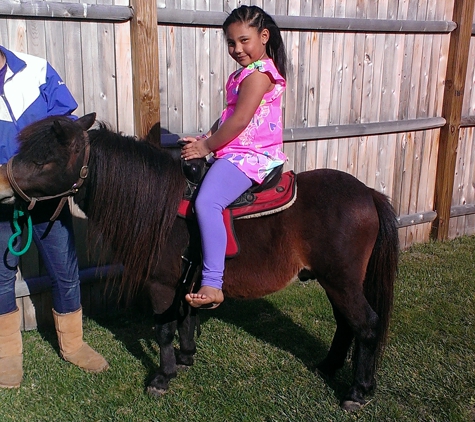 Iron Horse Stables - West Suffield, CT