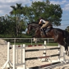 Miami Equestrian Center gallery