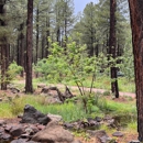 The Arboretum at Flagstaff - Arboretums