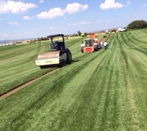 Sod King - Salt Lake City, UT