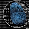 WhiteRaven Investigations & Digital Forensics gallery