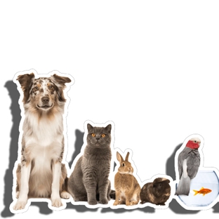 Redlynch Valley Vets - Redlynch, QLD