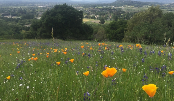 Skyline Park - Napa, CA