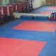 School-Martial Arts USA-Wyandotte