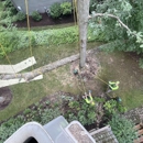 Brossart F. Tree Service - Tree Service