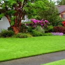 Lawns by Mark lawn care - Landscaping & Lawn Services