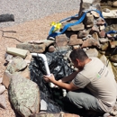 Desert Pond Services - Ponds & Pond Supplies