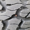 Discount Tire gallery