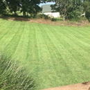 Clean Cut Lawn Care - Lawn Maintenance