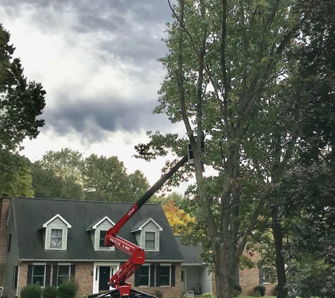 J  & B Professional Tree Service Inc