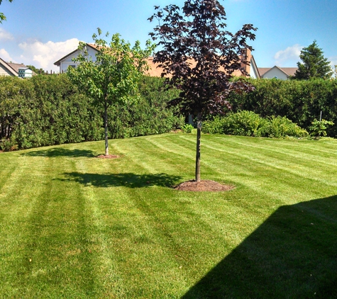 Dayton Lawn Mowing Inc