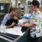 Oakland Veterinary Referral Services