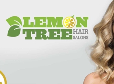 Cheap Haircut in Patchogue. Lemon Tree Hair Salon.