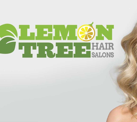 Lemon Tree Hair Salon Lindenhurst - Lindenhurst, NY