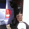 Discount Tire gallery