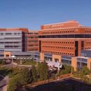 Baptist Health Medical Group Palliative Medicine - Home Health Services