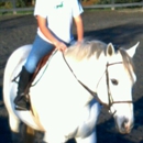 Cedarhill Farms Inc - Stables