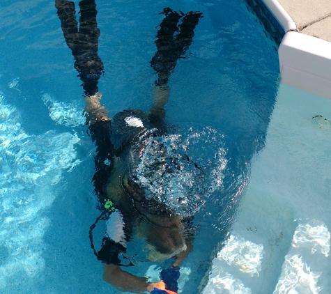 Professional Diving Service - Virginia Beach, VA