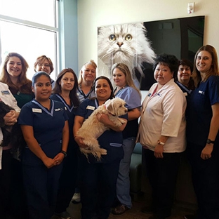 VCA Decatur Animal Hospital - Las Vegas, NV