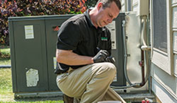 Russell's Pest Control - Knoxville, TN