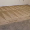 Action Plus Carpet Care & Restoration gallery