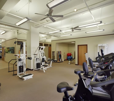 Paspa Physical Therapy - New York, NY