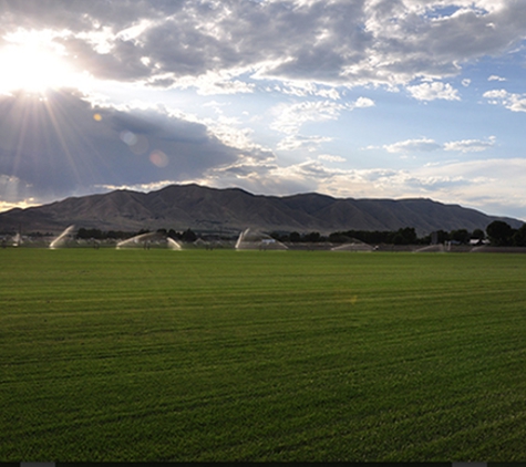 Emerald Turf - Payson, UT