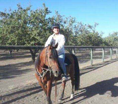 Discover Essential Horsemanship - Moorpark, CA