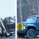 OJ Tree Service - Tree Service