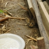 Mosquito Control Company gallery