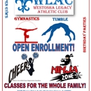 Westosha Legacy Athletic Club - Gymnastics Instruction