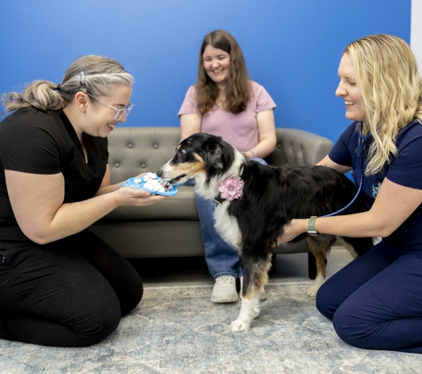 PetVet365 Pet Hospital Lexington/Richmond Rd - Lexington, KY