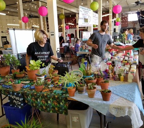 Farmers Public Market - Oklahoma City, OK. Plants, pet rocks