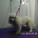 Bluebonnet Grooming - Pet Grooming