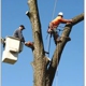 Big Mack's Tree Services