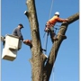 Big Mack's Tree Services