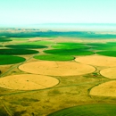 Navajo Agricultural Products Industry, NAPI - Farms